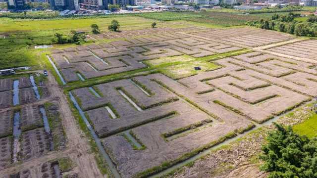 沃柑迷宮航拍圖 