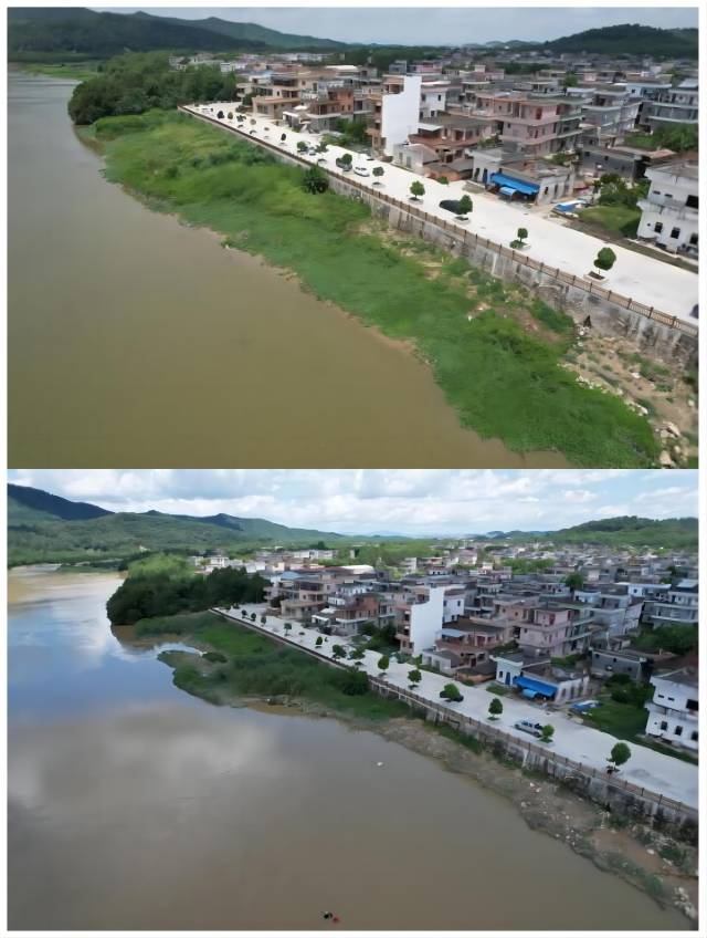 鎮(zhèn)海水沙塘鎮(zhèn)東方村河段清漂前后對(duì)比