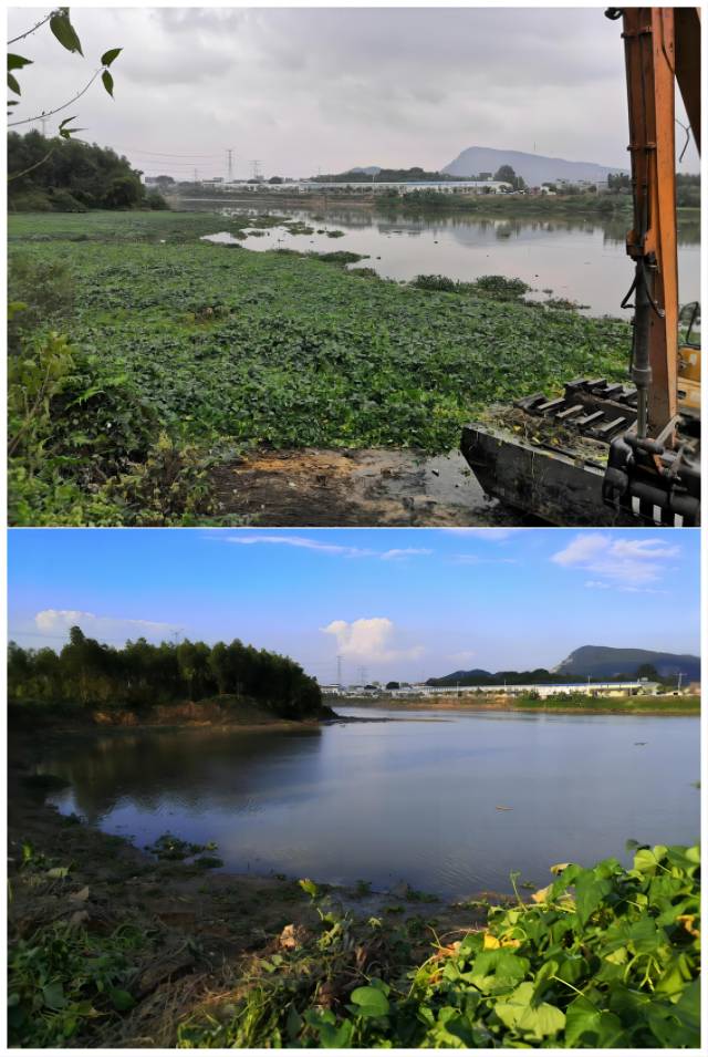 鎮(zhèn)海水沙塘鎮(zhèn)臺(tái)洞村蜆崗嶺河段清漂前后對(duì)比