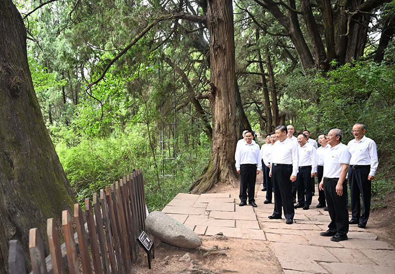 7月25日至27日，中共中央總書記、國家主席、中央軍委主席習(xí)近平在四川考察。這是25日下午，習(xí)近平在廣元市劍閣縣翠云廊考察。