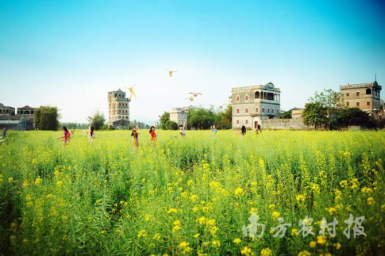 江門開平市自力村內(nèi)的花海碉樓